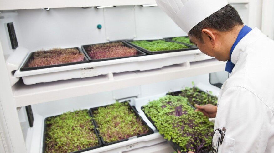 Urban Cultivator launches appliance for year-round restaurant greens