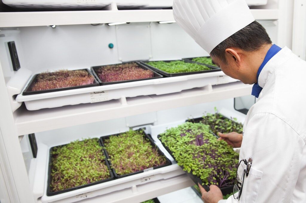 Urban Cultivator launches appliance for year-round restaurant greens
