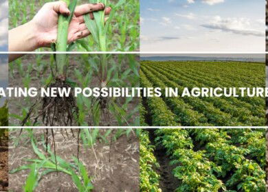 Vive Crop Protection raises $10 million to expand precision chemistry and reach more farmers