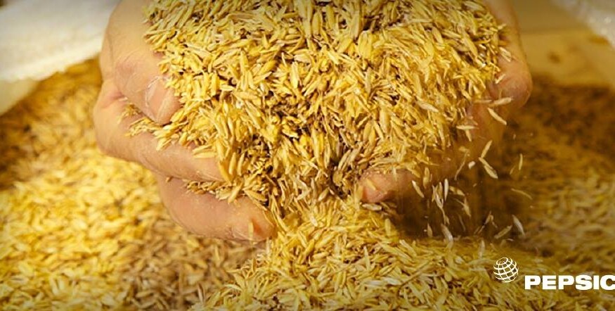 PepsiCo and partners expand open-access climate resilience platform for agriculture