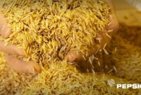 PepsiCo and partners expand open-access climate resilience platform for agriculture