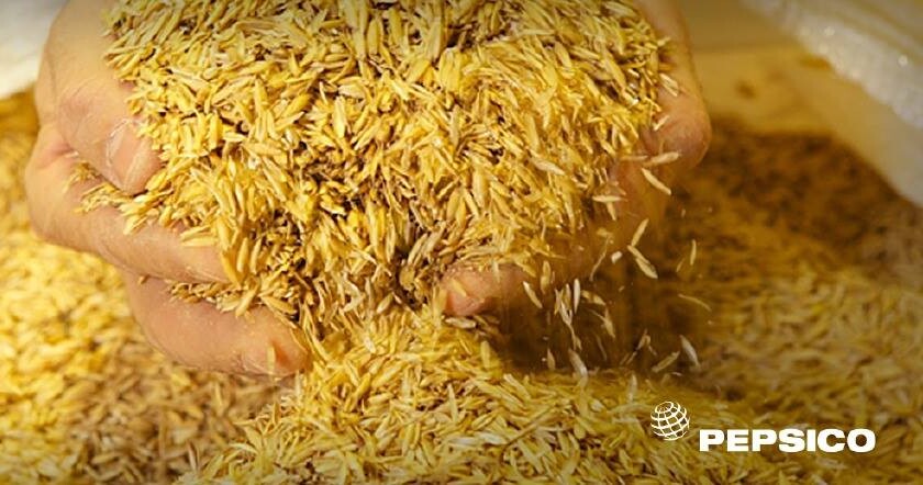 PepsiCo and partners expand open-access climate resilience platform for agriculture