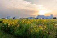 Sumitomo Chemical to merge Valent BioSciences, MGK and Valent North America into new global biorational business