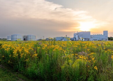 Sumitomo Chemical to merge Valent BioSciences, MGK and Valent North America into new global biorational business