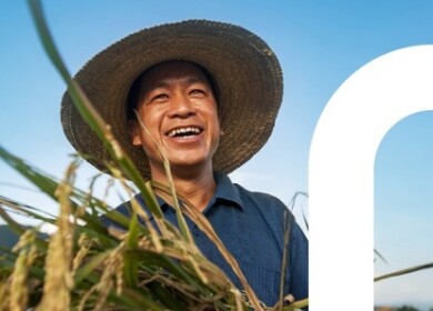 BASF and Nissan form partnership to bring new insecticide to Japanese rice growers