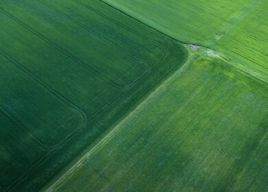 Lantmännen partners with Agronod to automate crop data collection