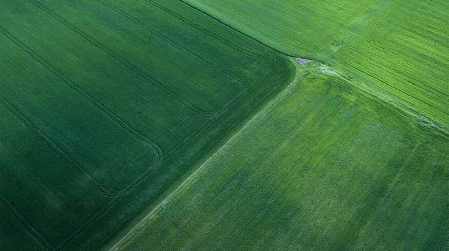 Lantmännen partners with Agronod to automate crop data collection