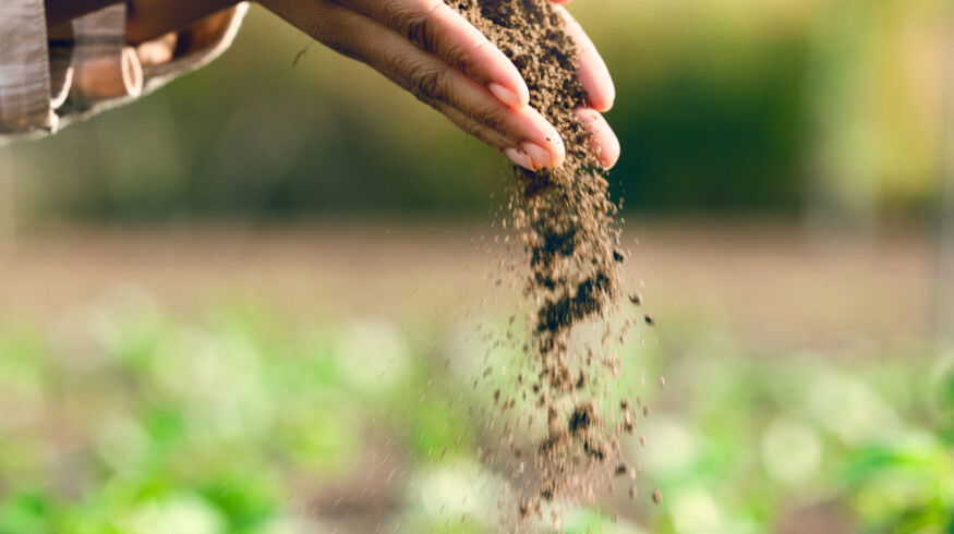 Liberia develops national soil information system to improve fertilizer use