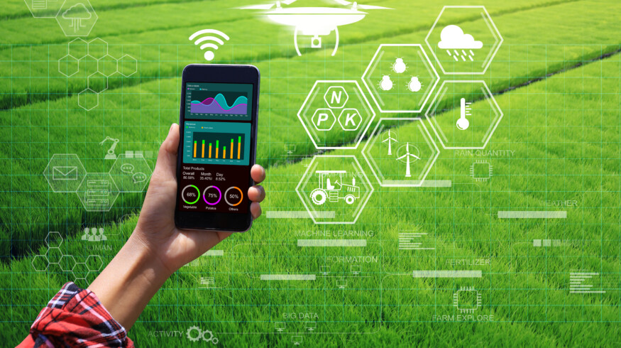 Global study finds fertilizer response remains hard to predict despite precision tools