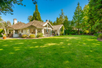 How to take care of your lawn in winter