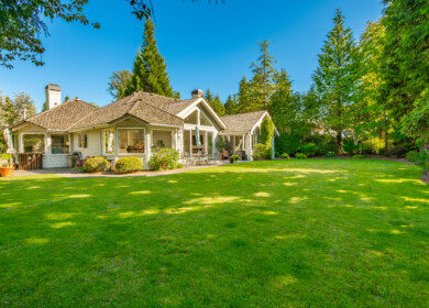 How to take care of your lawn in winter