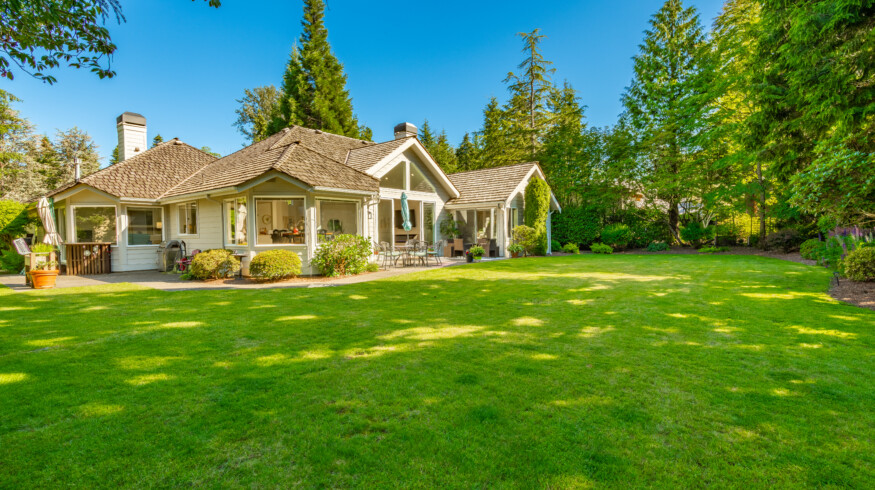 How to take care of your lawn in winter