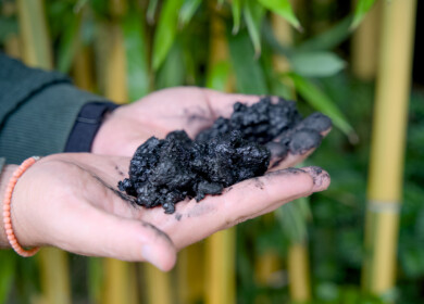 Study finds biochar makes composting more climate-friendly