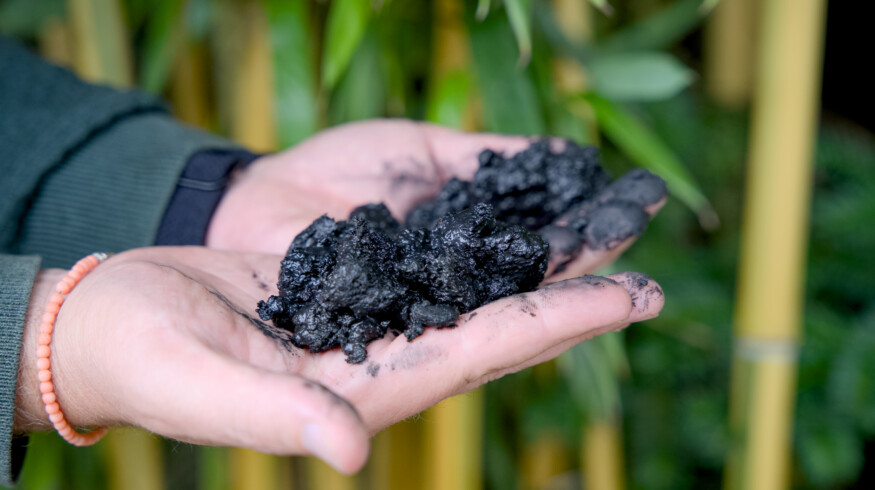 Study finds biochar makes composting more climate-friendly
