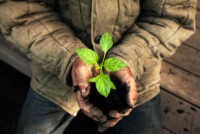 Gowan to oversee US sales of SePRO’s Brake and Bio-Tam crop protection lines