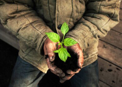 Gowan to oversee US sales of SePRO’s Brake and Bio-Tam crop protection lines