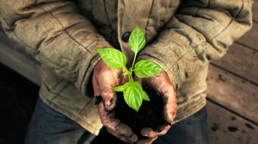 Gowan to oversee US sales of SePRO’s Brake and Bio-Tam crop protection lines