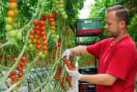 BASF | Nunhems to build new vegetable seeds R&D center in Spain