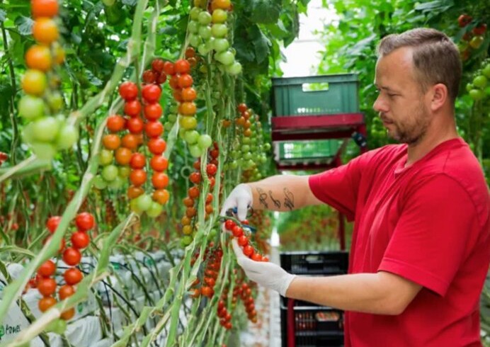 BASF | Nunhems to build new vegetable seeds R&D center in Spain