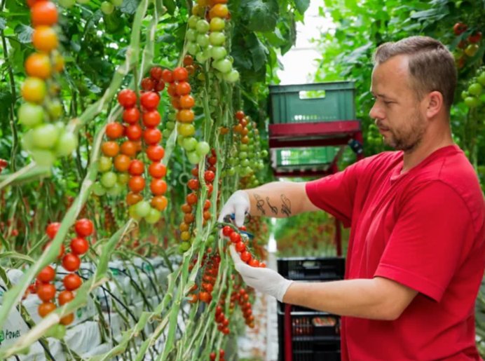 BASF | Nunhems to build new vegetable seeds R&D center in Spain