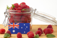 Australia suspends dimethoate use on berries after safety-margin review