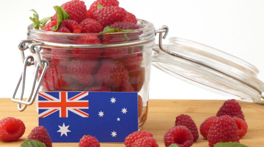 Australia suspends dimethoate use on berries after safety-margin review