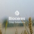 Bioceres reports lower quarterly revenue and net loss of $7.5 million in First fiscal Quarter of 2026