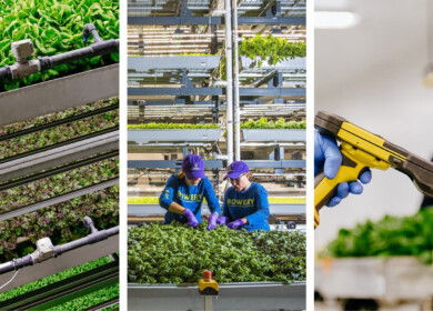 Bowery Farming’s $70M Georgia vertical farm heads to liquidation as startup’s collapse triggers nationwide sell-offs
