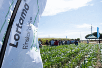 Corteva launches new Lortama herbicide in Portugal as EU tightens pesticide regulations