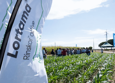 Corteva launches new Lortama herbicide in Portugal as EU tightens pesticide regulations