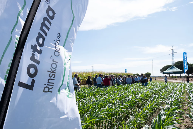 Corteva launches new Lortama herbicide in Portugal as EU tightens pesticide regulations