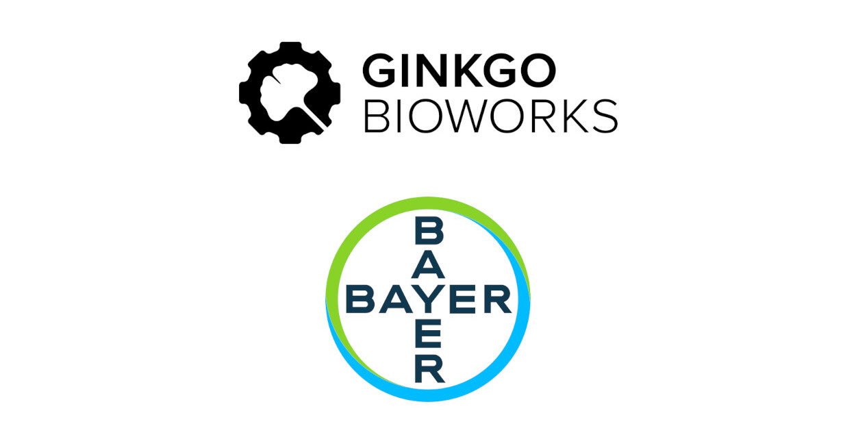 Ginkgo Bioworks and Bayer extend partnership to advance microbial fertilizer technologies