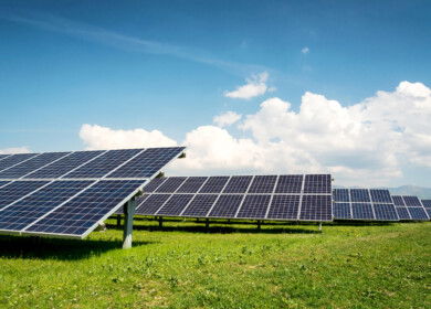 Farmers show more interest in agrivoltaics — the use of solar panels to protect crops and boost yields and income