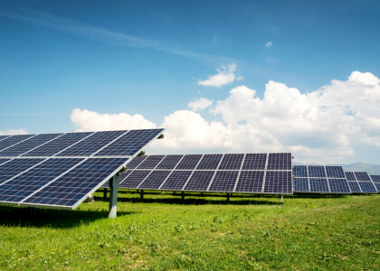 Farmers show more interest in agrivoltaics — the use of solar panels to protect crops and boost yields and income