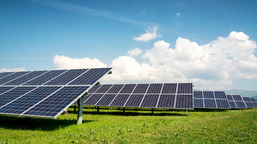 Farmers show more interest in agrivoltaics — the use of solar panels to protect crops and boost yields and income