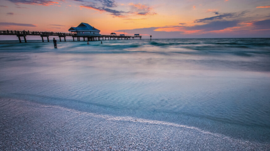 Tampa Bay sediment study links fertilizer wastewater to long-term ecological strain
