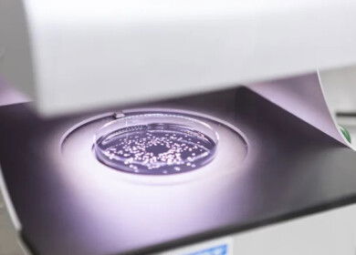 Syngenta and Amoéba partner to launch in Europe new bio-fungicide for wheat and field crops by 2026