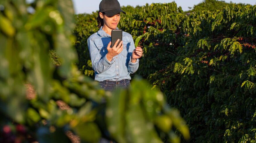 Syngenta opens Cropwise platform to external developers allowing to use its agronomic models and AI