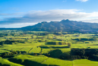 Ballance and Yara to pilot low-carbon fertilizer range in New Zealand