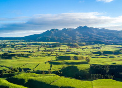 Ballance and Yara to pilot low-carbon fertilizer range in New Zealand