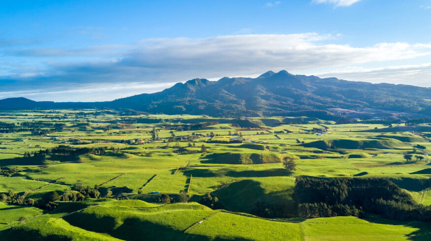 Ballance and Yara to pilot low-carbon fertilizer range in New Zealand