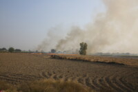 Farmers in Punjab turn to stubble recycling as air pollution concerns rise