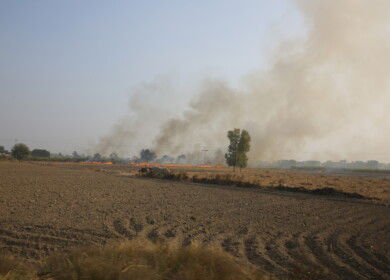 Farmers in Punjab turn to stubble recycling as air pollution concerns rise
