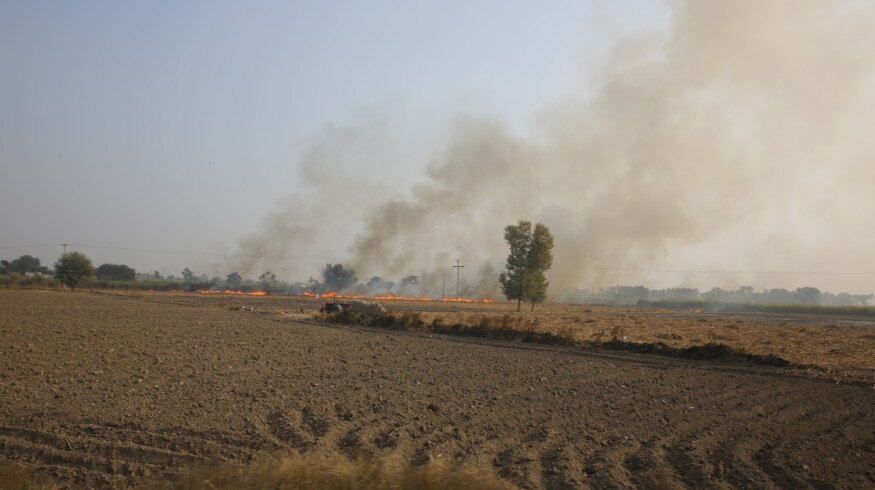 Farmers in Punjab turn to stubble recycling as air pollution concerns rise