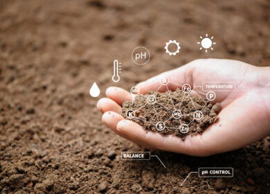 Chemical balance proves crucial to healthy soil systems