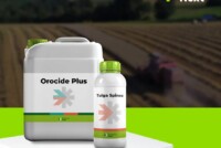 Rovensa Next expands European biocontrol portfolio with two new biosolutions