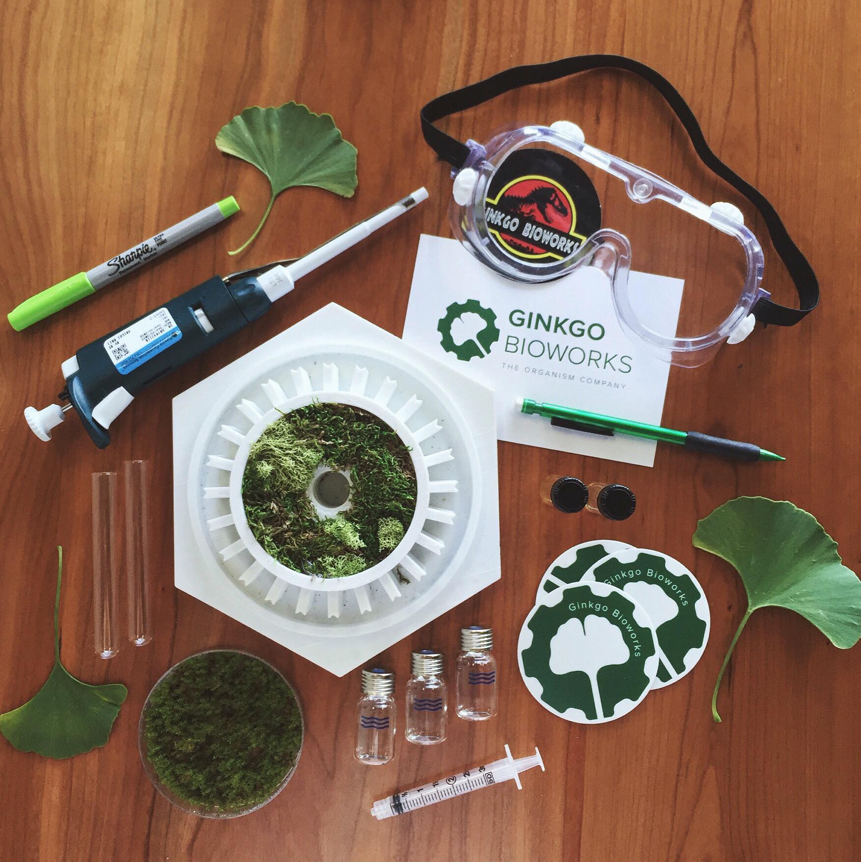 Ginkgo and Agricen complete fermentation collaboration for soil biologicals