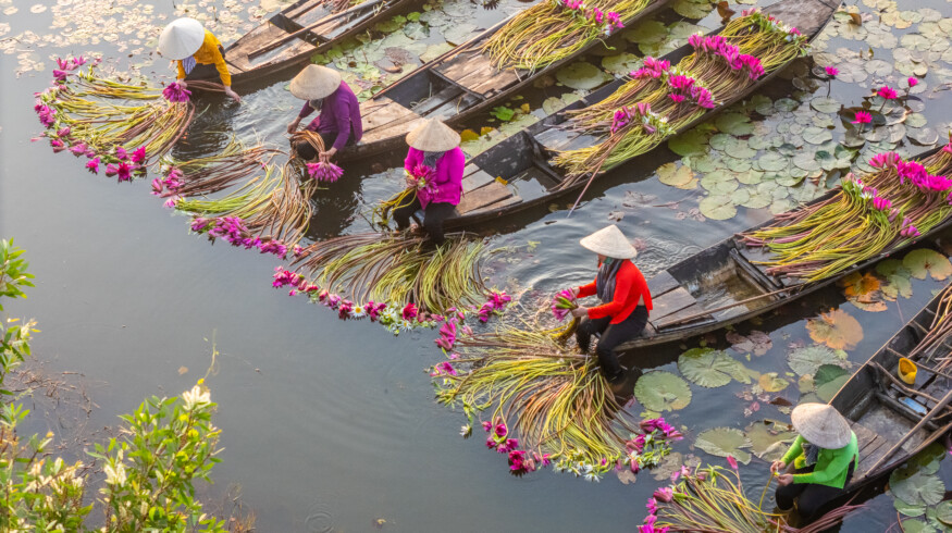 Uralchem introduces nutrition systems for tropical crops in Vietnam