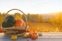 How to turn pumpkin scraps into natural fertilizer