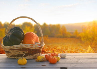 How to turn pumpkin scraps into natural fertilizer